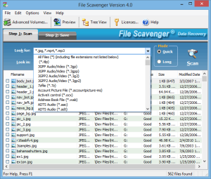 file scavenger download